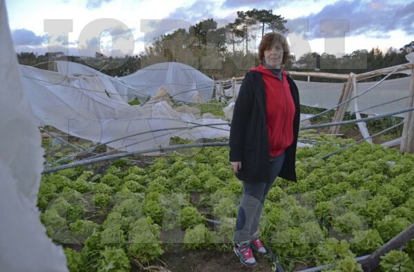 56282 1deb31d7 488c 4b9f ab2b 27a0a1c81b13 temporal 1