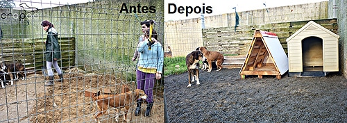 56335 4cb4e292 0093 448d a838 786e83631a79 crapaa1