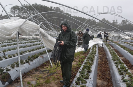 56349 f9c080e6 e318 4d6e bfa9 95cb759d61b4 estufas 1 56349 f9c080e6 e318 4d6e bfa9 95cb759d61b4 estufas 1