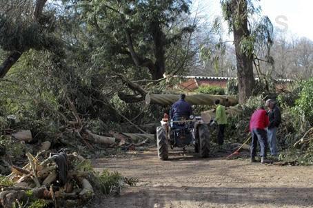 56353 39c396bd 4aa9 4bcc b328 6e297b2f19bf rescaldo 1