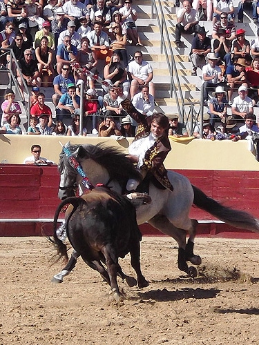 57067 07096385 db36 4e62 aec4 a87a955e0068 marco