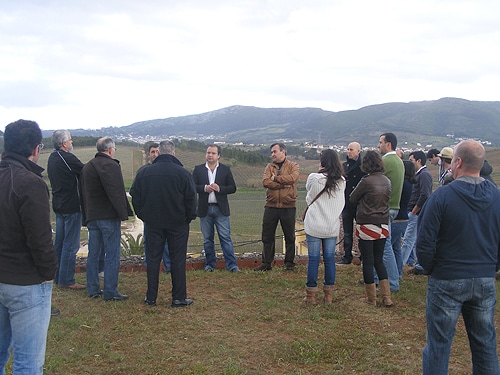 57095 aa0869d8 2435 4470 bcde 72a15ad3dd28 vinhos