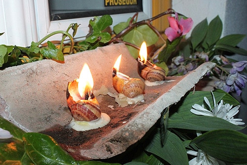 57106 9541ff2d c699 4118 a0d1 1e10fb82bca0 caracois1 57106 9541ff2d c699 4118 a0d1 1e10fb82bca0 caracois1