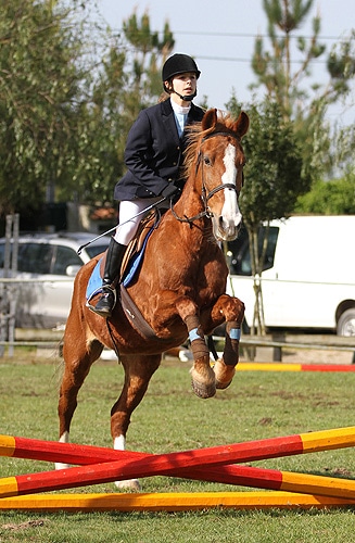 57358 5b06180f cb3b 49d3 ab6f fe690eb2005c pintas 1