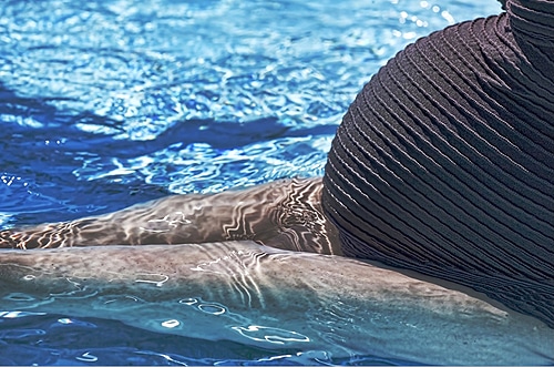 57419 f35ab7bf 1e4a 482b bc4f 95ed46e2b774 gravidas