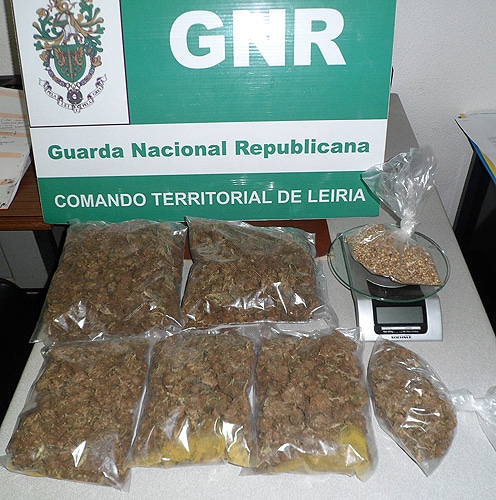 57512 79f343e8 ed5c 48a4 b008 338264186a6f cannabis 1