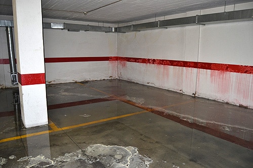 57544 6f9bef53 9f7b 4cb2 9de7 48c87dbe9939 leitor 1