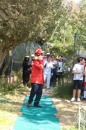 57858 dc05e27a 820a 4150 b2f4 69aae97011fc seguranca