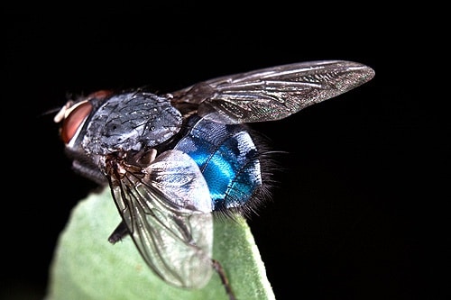 57912 db229243 8ad1 46ba 9f22 ed959d73e088 macro1