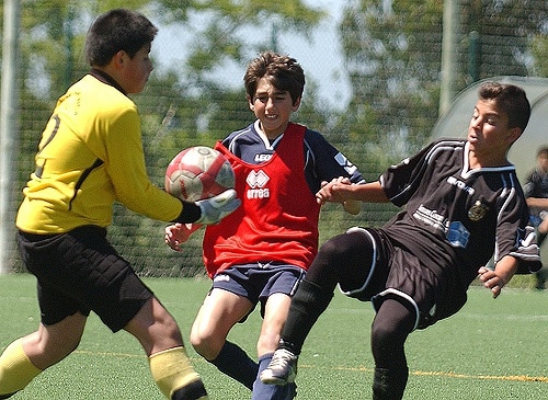 58012 9ec5f8df 336d 4467 aa89 686526132456 portomosense 1 58012 9ec5f8df 336d 4467 aa89 686526132456 portomosense 1