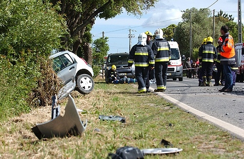 58036 e04df960 4949 400d 9214 1055b0b06755 gravida 1