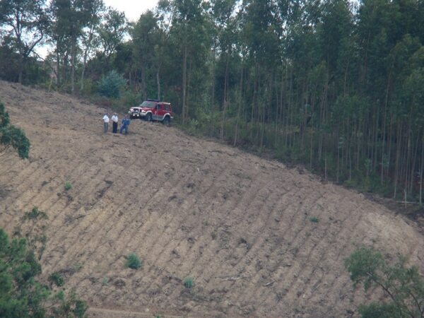 58360 6e155ba5 1b0d 479a 9a33 8e7b8e56cfe9 incendios