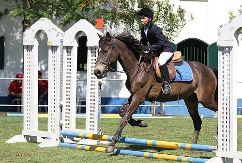 58391 b213d00a a3b8 4b6e 9977 0d92915f3b75 pintas 1 58391 b213d00a a3b8 4b6e 9977 0d92915f3b75 pintas 1