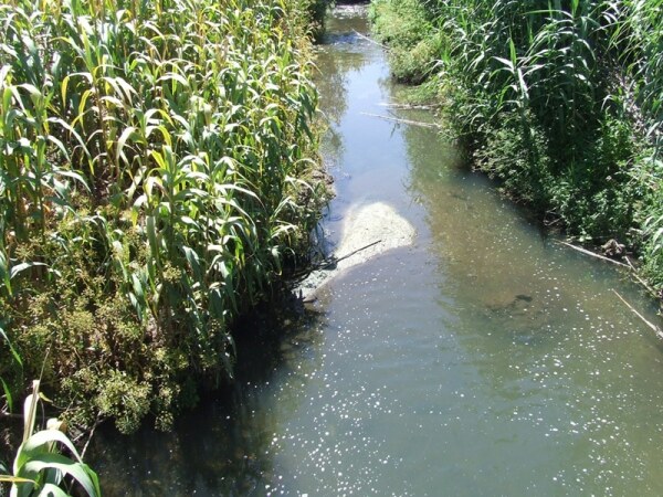 58402 7d4b06bb d405 4439 8796 35ffbd882e2c retificacao 58402 7d4b06bb d405 4439 8796 35ffbd882e2c retificacao