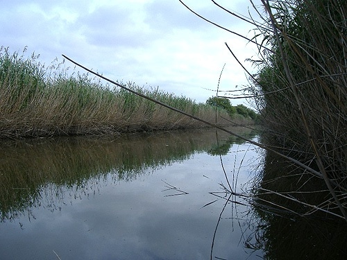 58444 4ae230b9 cc37 4821 a6bd 1ce0a53beb5d paul 58444 4ae230b9 cc37 4821 a6bd 1ce0a53beb5d paul