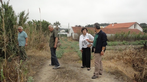 59698 9494a8b8 6589 479d 8ea1 8945a1a7a4ff linhas