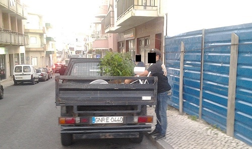 59729 30c24a52 01df 48b5 add2 62dc4c8a469a surpreendidos 1