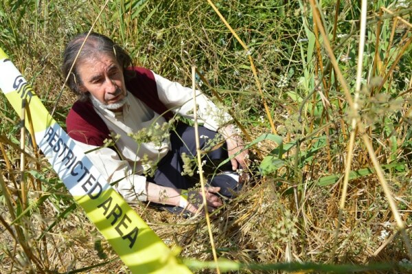 59747 c7bbf534 0d3f 429d 9560 e5383813087e ourives