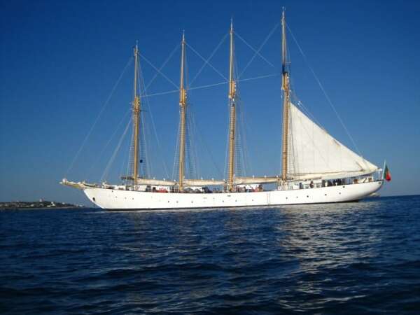 59815 d71566d1 96c0 41e0 a507 3ed6165347be uim1