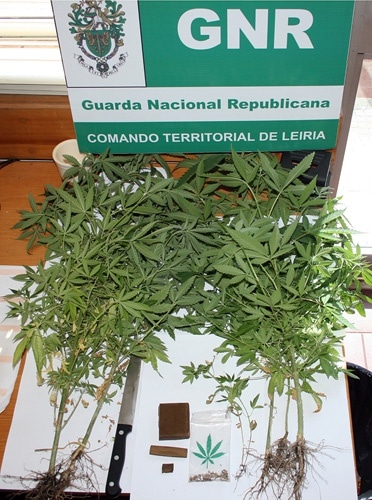 59841 420b19b5 e818 4e57 a9ff 4c875c58d72c liberto