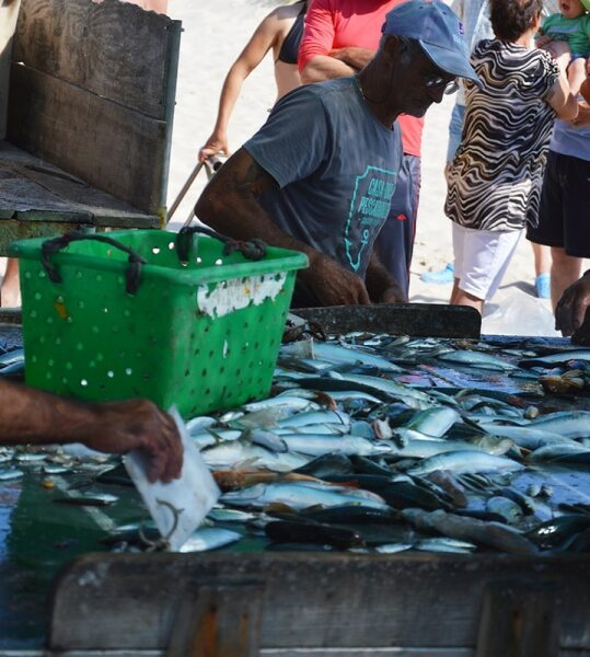 60091 6c1d8dd6 63bb 4fee 8804 20842b00630b reuniao