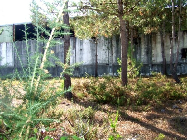 60344 52b1db3a 9e8e 45df 83bc 82250f99d021 zona industrial cds 2