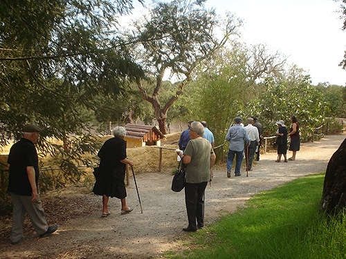 60362 a0f03ed3 8d7a 47d9 8007 0ba119bd62d1 senior