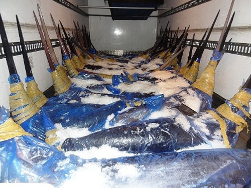 60443 0044f85a 738b 4600 b593 e2089102ea3a espadarte