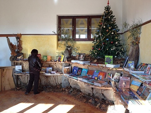 63461 a6182ed0 9820 4610 8e8b 4e650c6d4a98 amoreira