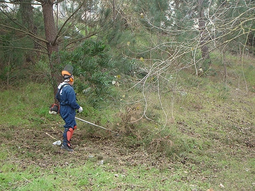 63633 7d5e0f21 fc78 4a8b a82e c079031f6560 mato1