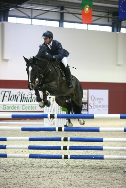 63673 961bc8a8 332d 4607 b006 617044f4a770 wilson