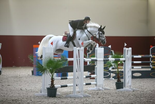 64038 a5aab800 af3c 41a7 960b 0fe60b8c1b67 ceia