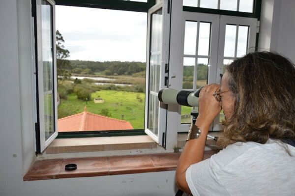 64086 70dfa16a a19f 4885 b7db 1db3c37ce0d9 paul