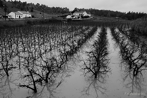 64294 0dde55f4 d3f6 4f93 865c 121a509a60c7 cheias