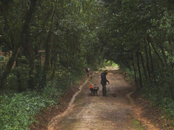 64366 eaf2d062 605f 49aa a708 7c8965985d33 mata