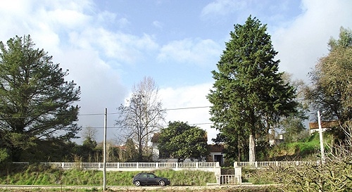 64796 c35ff7e9 f1f1 4073 866f 4a47f8b335ff canil