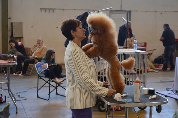 64818 5589143d b445 4606 9ac2 266100d1fc24 canina1