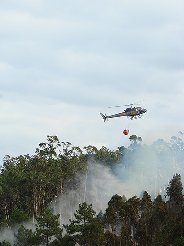 64839 28c8c5c4 6aef 45b2 9cb7 c014fb53e997 gabi 64839 28c8c5c4 6aef 45b2 9cb7 c014fb53e997 gabi