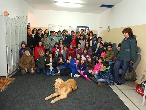 65236 22a50843 296b 47ba 9f4f aa83505a9b83 cao