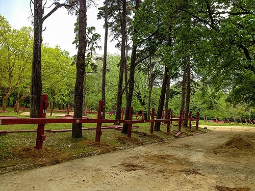 65255 9fb4faf8 7ebf 4fdb 977b 541949763e08 touros