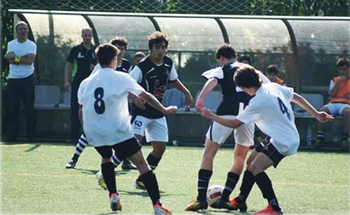 65307-d72674e6-031b-4132-a908-ce5a39d78161-juvenis