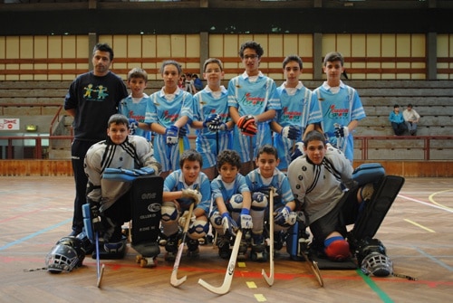 65403 b2a9d51e 80a2 4209 96ad c9aedc4bd272 hoquei1