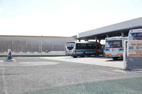 65429 ccdc1529 7e72 4f37 9686 b4d9cc5d2d9e paternidade 65429 ccdc1529 7e72 4f37 9686 b4d9cc5d2d9e paternidade