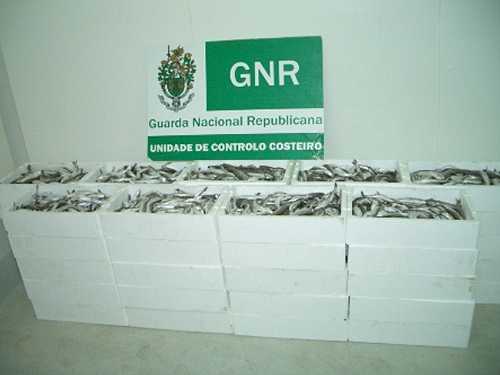 65710 f5135568 1dc0 47f0 b919 75ae4d923a47 apreensao