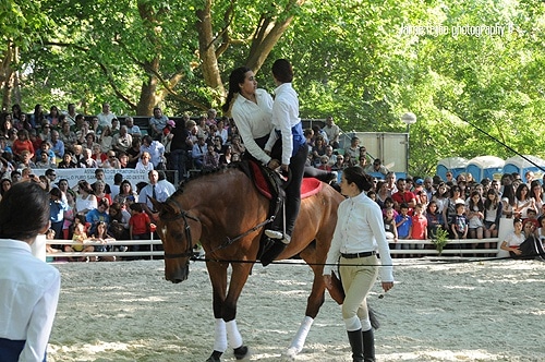 65761 0ae48a5a b487 4eb7 8d80 6aac77c849c4 ceia 1 65761 0ae48a5a b487 4eb7 8d80 6aac77c849c4 ceia 1