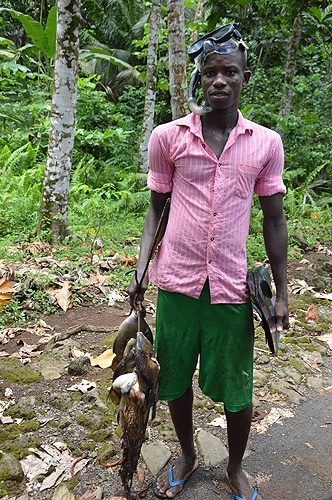 65804 ac78f8b3 8601 40c1 af51 8fc9e69914cd s. tome 1 65804 ac78f8b3 8601 40c1 af51 8fc9e69914cd s. tome 1