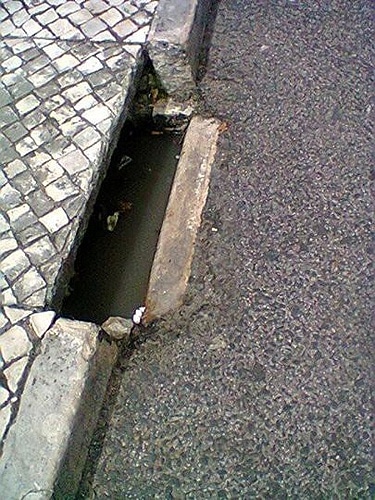 66138 ee92aa19 1983 4c6d b43b bd1b6f4e2924 lancil