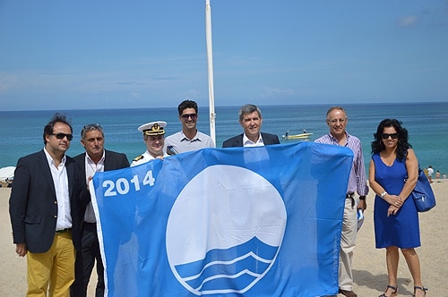 66162 ab8c41b4 0b9d 4bdb a7f4 0d5f79e03aa6 hastear 1