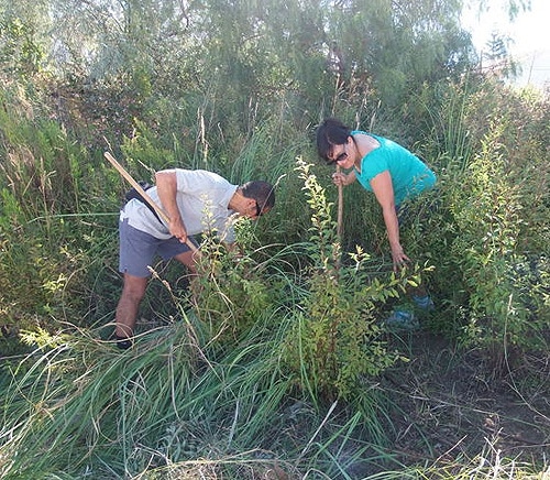 66426 a2beed34 db3e 48a4 91cd 8f049ea73c37 jardinagem 66426 a2beed34 db3e 48a4 91cd 8f049ea73c37 jardinagem