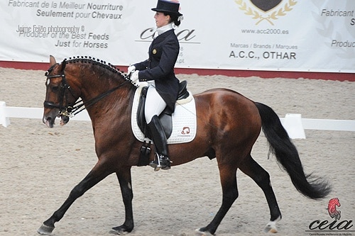 66535 f0116e5d 52c8 4069 b23d ed9c6dac21d9 dressage